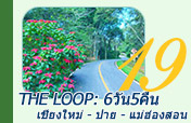 The Loop: เชียงใหม่ - ปาย - แม่ฮ่องสอน